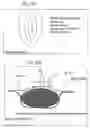 Fig. 19 - DEVICES AND METHODS FOR TREATING AND CLOSING WOUNDS WITH NEGATIVE PRESSURE