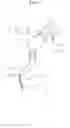 Fig. 03 - WALKING ASSISTANCE APPARATUS