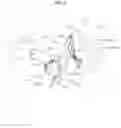 Fig. 05 - WALKING ASSISTANCE APPARATUS