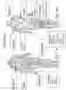 Fig. 02 - PRESSURE RELEASE AND MASSAGE TOOL