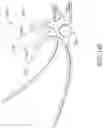 Fig. 14 - Pressure release and massage tool