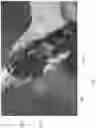 Fig. 05 - MASSAGE GUN HOLDER