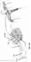 Fig. 16 - APPARATUS FOR DELIVERY OF RADIOEMBOLIZATION MICROSPHERES