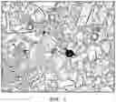 Fig. 02 - DENTAL COMPOSITION AND PREPARATION METHOD THEREFOR