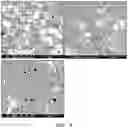 Fig. 10 - DENTAL COMPOSITION AND PREPARATION METHOD THEREFOR