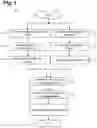 Fig. 02 - Method for preparing stable liquid emulsion forms of plant extract