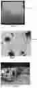 Fig. 06 - Oral care article comprising a delivery carrier and solid hydrophilic particles comprising an active agent