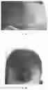 Fig. 02 - Use Of A Composition For The Pigmentation Of Hair And Hairs
