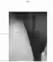 Fig. 03 - Use Of A Composition For The Pigmentation Of Hair And Hairs