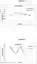 Fig. 02 - Methods and Compostitions for Enhancing the Viability of Microneedle Pores