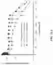 Fig. 20 - Implantable depots for the controlled release of therapeutic agents