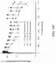 Fig. 22 - Implantable depots for the controlled release of therapeutic agents