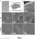 Fig. 04 - DRUG DELIVERY COMPOSITIONS FOR OCULAR ADMINISTRATION OF THERAPEUTICS AND METHODS OF USE THEREOF