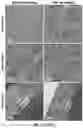 Fig. 08 - DRUG DELIVERY COMPOSITIONS FOR OCULAR ADMINISTRATION OF THERAPEUTICS AND METHODS OF USE THEREOF