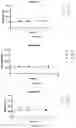 Fig. 02 - Compositions and methods for delivery of nucleic acid-lipid nanoparticle complexes encoding for viral RNA polymerase region and protein antigen