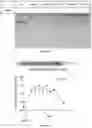 Fig. 03 - Compositions and methods for delivery of nucleic acid-lipid nanoparticle complexes encoding for viral RNA polymerase region and protein antigen