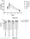 Fig. 08 - Compositions and methods for delivery of nucleic acid-lipid nanoparticle complexes encoding for viral RNA polymerase region and protein antigen