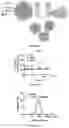 Fig. 13 - Compositions and methods for delivery of nucleic acid-lipid nanoparticle complexes encoding for viral RNA polymerase region and protein antigen