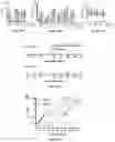 Fig. 17 - Compositions and methods for delivery of nucleic acid-lipid nanoparticle complexes encoding for viral RNA polymerase region and protein antigen