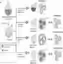 Fig. 01 - PREPARING LIPOSOMES WITH HIGH DRUG LOADING CAPACITY AND THE USE THEREOF
