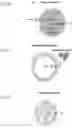 Fig. 03 - PREPARING LIPOSOMES WITH HIGH DRUG LOADING CAPACITY AND THE USE THEREOF