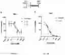 Fig. 06 - PREPARING LIPOSOMES WITH HIGH DRUG LOADING CAPACITY AND THE USE THEREOF