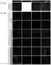 Fig. 08 - PREPARING LIPOSOMES WITH HIGH DRUG LOADING CAPACITY AND THE USE THEREOF