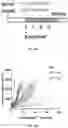 Fig. 11 - PREPARING LIPOSOMES WITH HIGH DRUG LOADING CAPACITY AND THE USE THEREOF