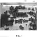 Fig. 02 - Alginate Beads and Methods of Manufacture and Use Thereof
