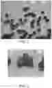 Fig. 03 - Alginate Beads and Methods of Manufacture and Use Thereof