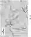 Fig. 26 - Modified release formulations and uses thereof