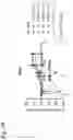 Fig. 18 - ENCAPSULATED RNA POLYNUCLEOTIDES AND METHODS OF USE