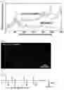 Fig. 13 - DRUG DELIVERY SYSTEM AND METHOD