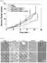 Fig. 14 - DRUG DELIVERY SYSTEM AND METHOD
