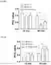 Fig. 09 - DUAL-RESPONSIVE NANOPARTICLES FOR ENHANCED ANTIBACTERIAL EFFICACY