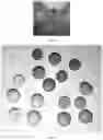 Fig. 04 - ADHESIVE PAD