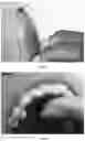 Fig. 05 - ADHESIVE PAD