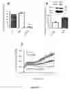 Fig. 04 - METHODS AND COMPOSITIONS FOR MODULATING BLOOD-BRAIN BARRIER