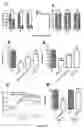 Fig. 06 - METHODS AND COMPOSITIONS FOR MODULATING BLOOD-BRAIN BARRIER
