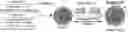 Fig. 01 - PH-ACTIVATED NANOPARTICLES