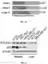 Fig. 06 - PH-ACTIVATED NANOPARTICLES