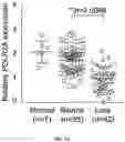 Fig. 07 - PH-ACTIVATED NANOPARTICLES