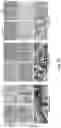 Fig. 08 - PH-ACTIVATED NANOPARTICLES
