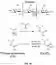 Fig. 10 - PH-ACTIVATED NANOPARTICLES