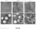 Fig. 11 - PH-ACTIVATED NANOPARTICLES