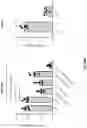 Fig. 110 - PH-ACTIVATED NANOPARTICLES