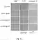 Fig. 113 - PH-ACTIVATED NANOPARTICLES
