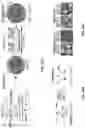 Fig. 115 - PH-ACTIVATED NANOPARTICLES