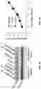 Fig. 18 - PH-ACTIVATED NANOPARTICLES