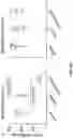 Fig. 31 - PH-ACTIVATED NANOPARTICLES